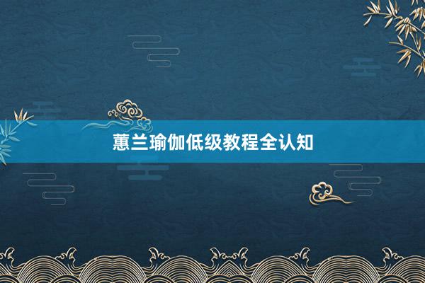 蕙兰瑜伽低级教程全认知